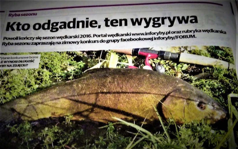 konkurs inforyby