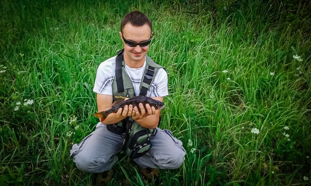 okoń 35cm