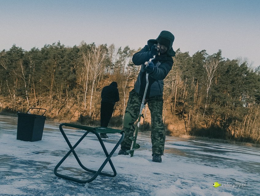Paweł inforyby